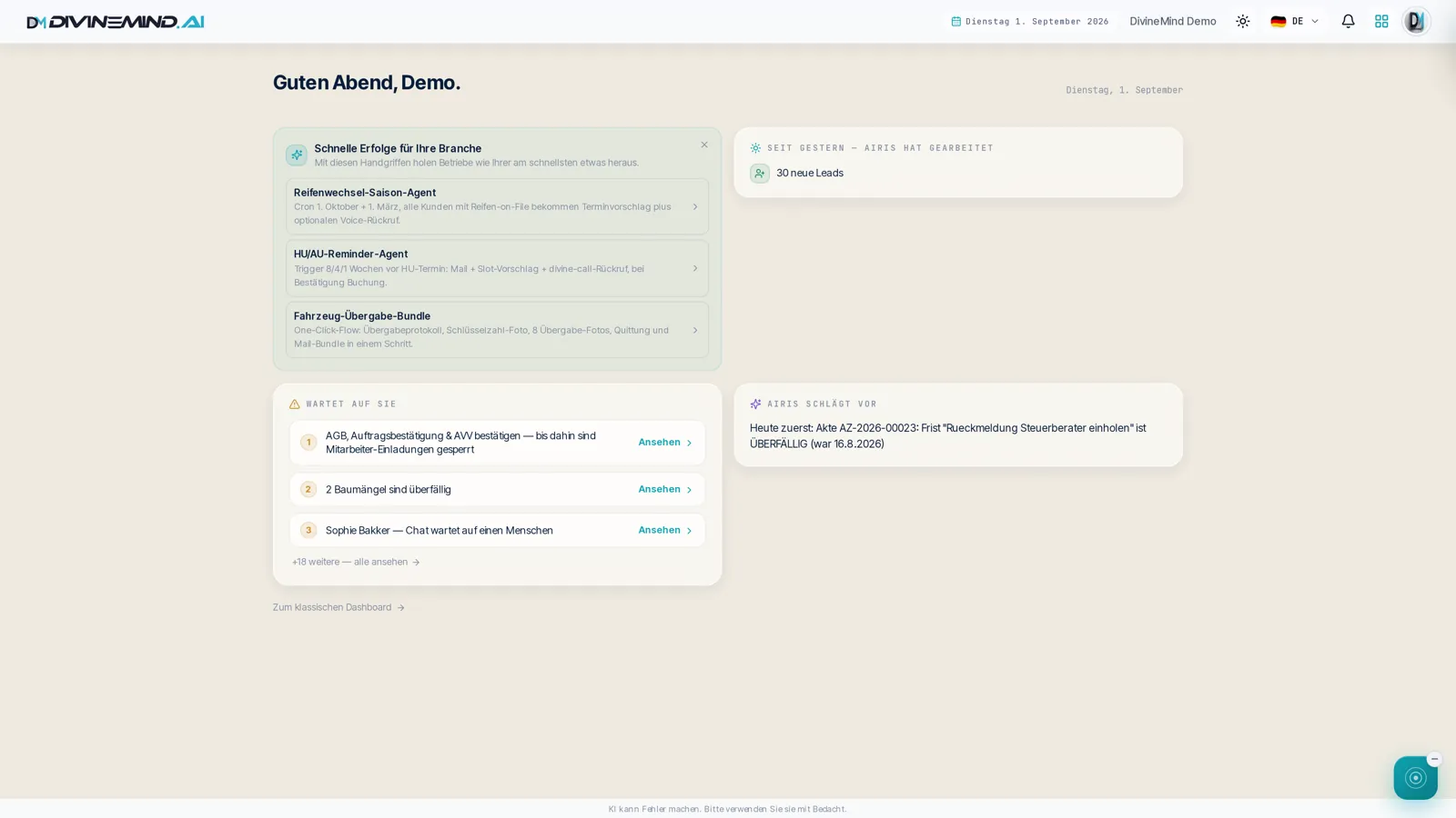 AIRIS Homepage of a demo company: what AIRIS has accomplished today and what awaits a decision